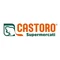 Il Castoro
